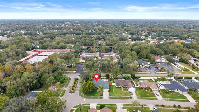 15102 SPRINGVIEW STREET, Tampa, FL 33624