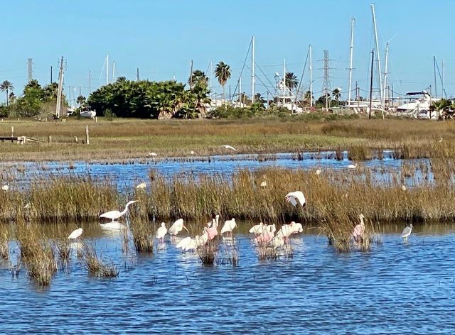 9115 W Bay Road, Galveston, TX 77554