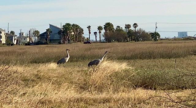 9115 W Bay Road, Galveston, TX 77554