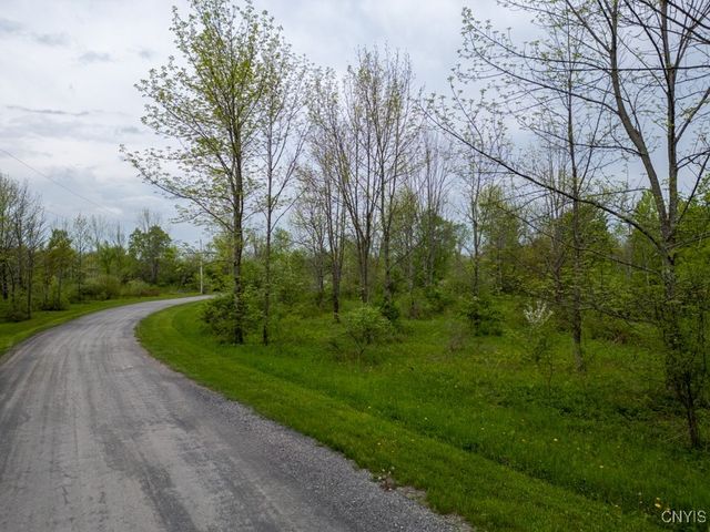 Cogar Drive, Schuyler, NY 13340