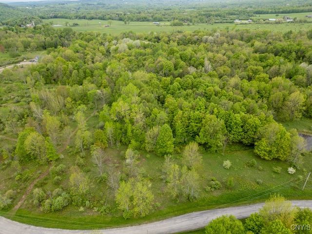 Cogar Drive, Schuyler, NY 13340