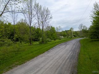 Cogar Drive, Schuyler, NY 13340