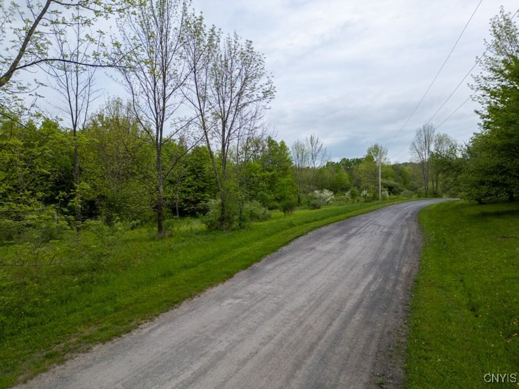 Cogar Drive, Schuyler, NY 13340