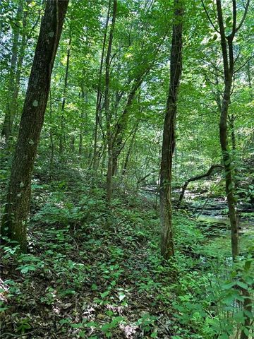0 Hidden Creek Rd, Jasper, GA 30143