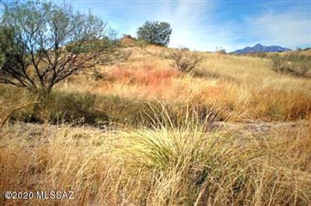 Tanglehead Lane LOT 20, Patagonia, AZ 85624