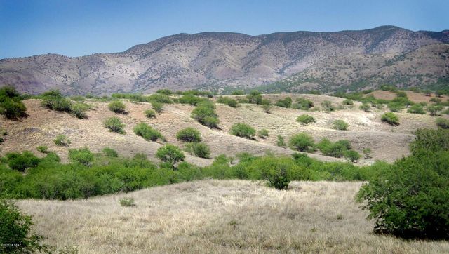 Tanglehead Lane LOT 20, Patagonia, AZ 85624
