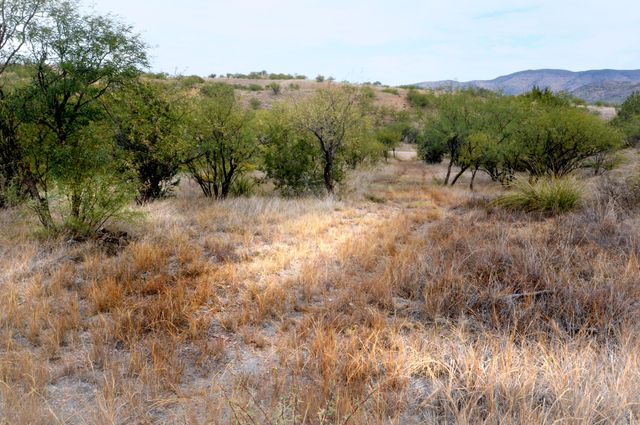 Tanglehead Lane LOT 20, Patagonia, AZ 85624