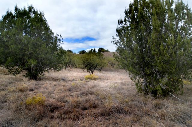Tanglehead Lane LOT 20, Patagonia, AZ 85624