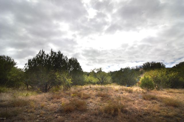 Tanglehead Lane LOT 20, Patagonia, AZ 85624
