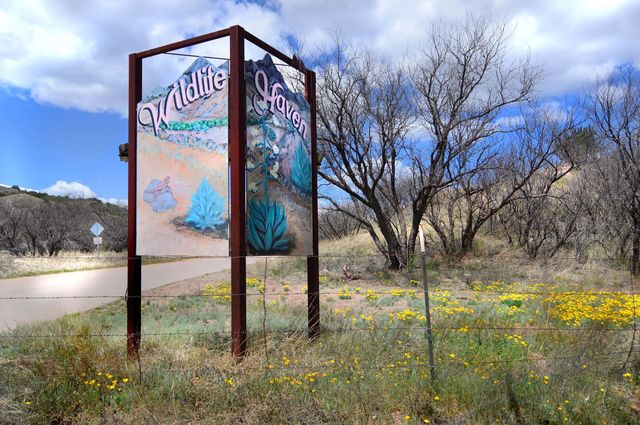 Tanglehead Lane LOT 20, Patagonia, AZ 85624