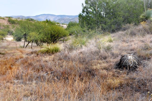 Tanglehead Lane LOT 20, Patagonia, AZ 85624