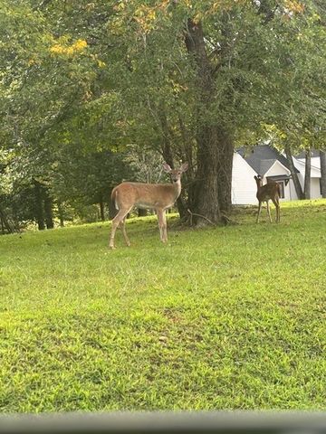 115 Long Point Dr, Rock Island, TN 38581