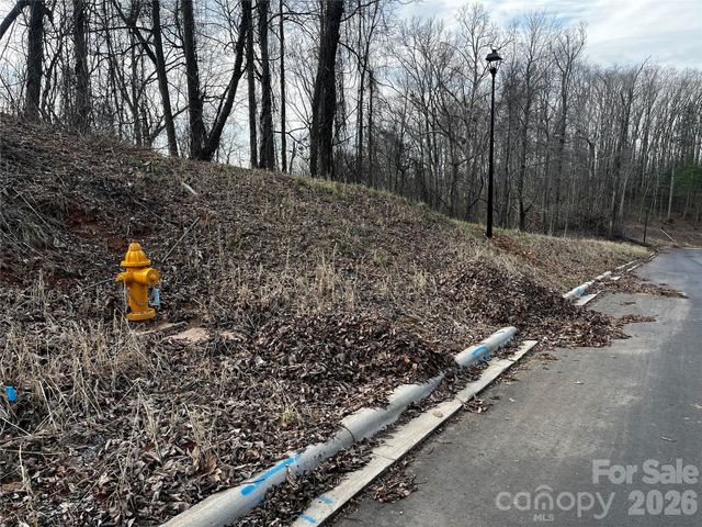105 Woodland Meadows Drive Tract A & B, Asheville, NC 28803