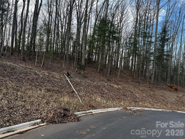105 Woodland Meadows Drive Tract A & B, Asheville, NC 28803