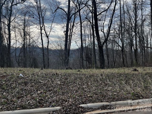 105 Woodland Meadows Drive Tract A & B, Asheville, NC 28803