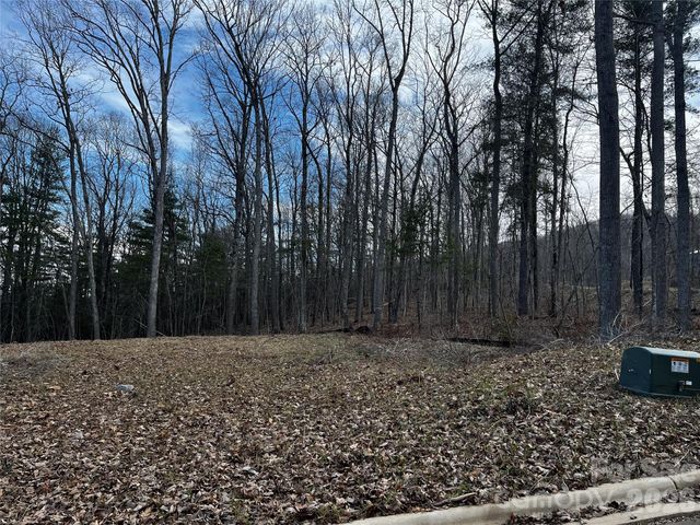 105 Woodland Meadows Drive Tract A & B, Asheville, NC 28803