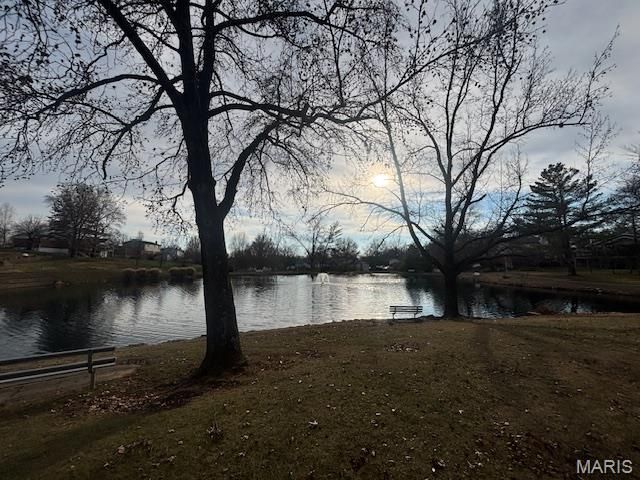 599 Arblay Place, Manchester, MO 63011