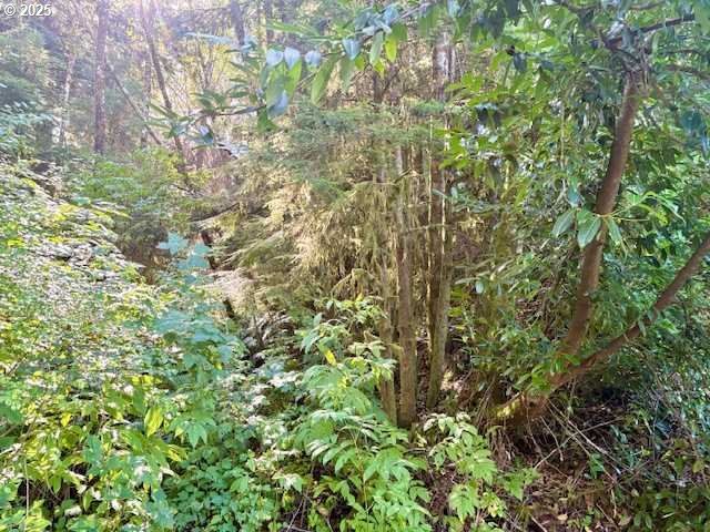 LOT 1 CEDAR St, Wheeler, OR 97147
