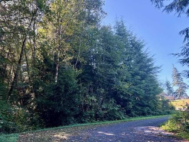 LOT 1 CEDAR St, Wheeler, OR 97147