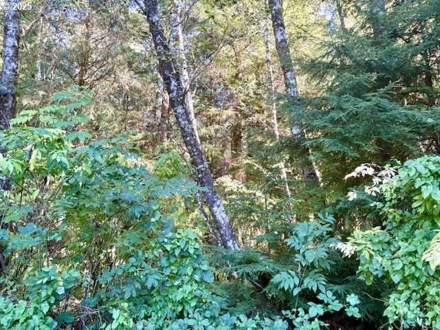 LOT 1 CEDAR St, Wheeler, OR 97147