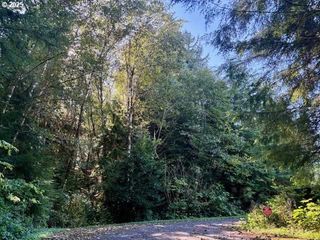 LOT 1 CEDAR St, Wheeler, OR 97147