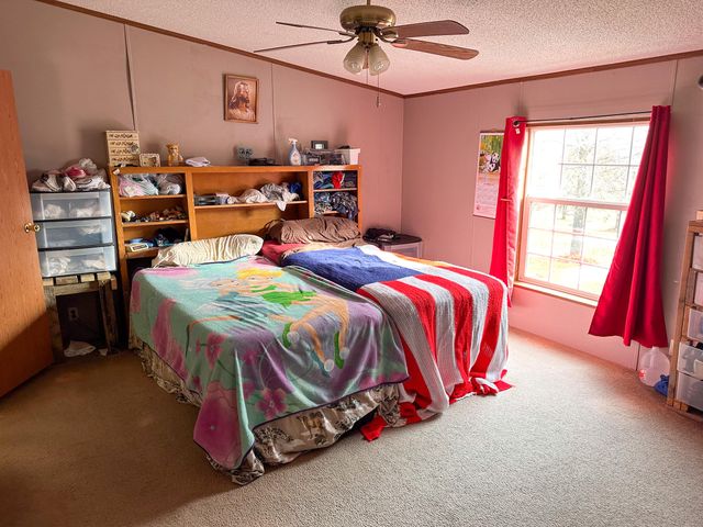 4762 County Road 1340, Pomona, MO 65789