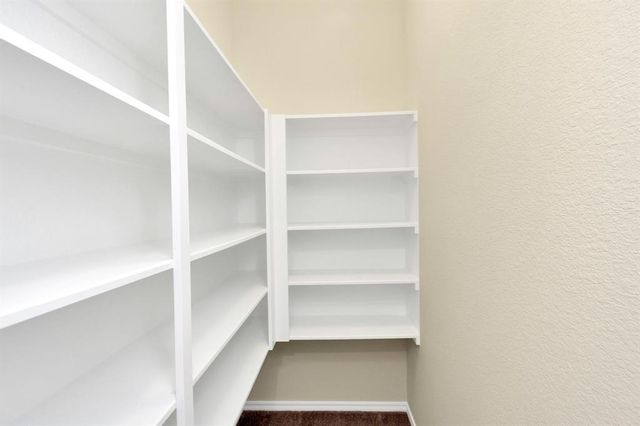 3420 Avondale View Drive, Houston, TX 77025