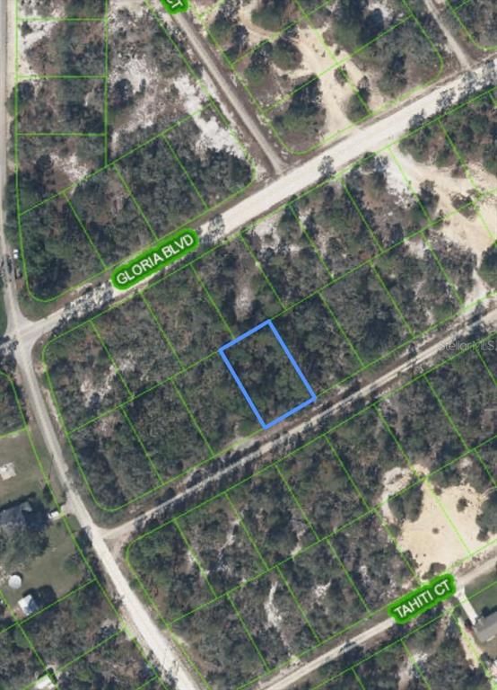 406 ALLEGHENY AVENUE, Lake Placid, FL 33852