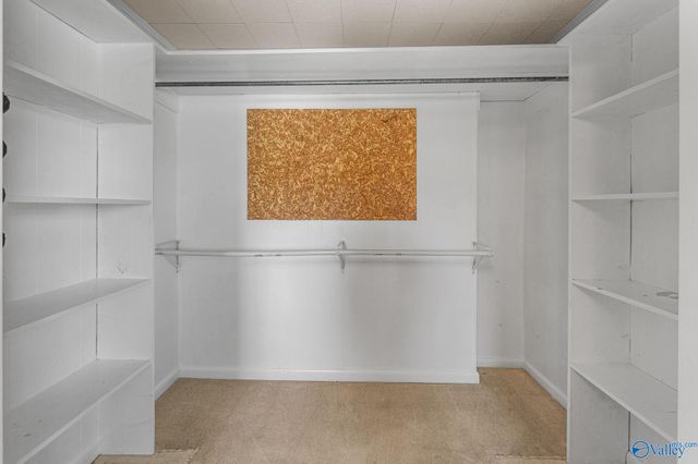 55 County Road 462, Geraldine, AL 35974