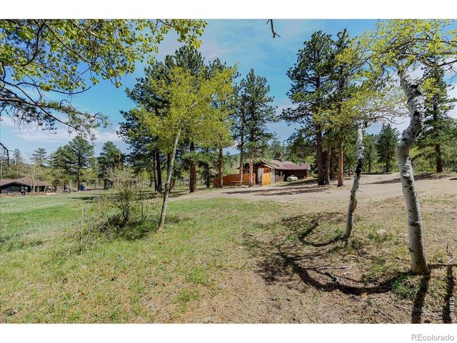 104 County Road 90, Allenspark, CO 80510