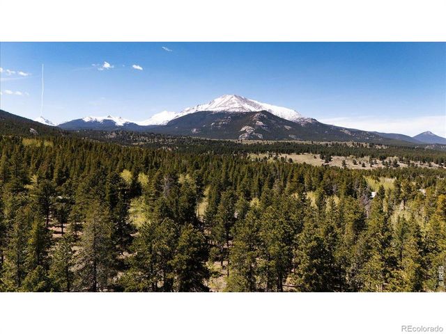 104 County Road 90, Allenspark, CO 80510