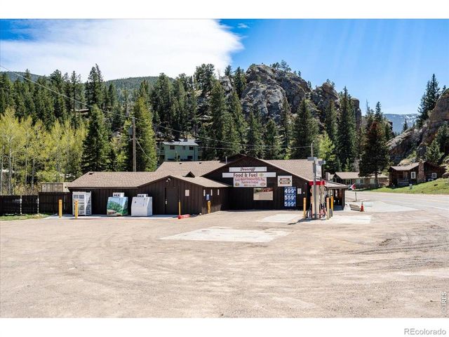 104 County Road 90, Allenspark, CO 80510