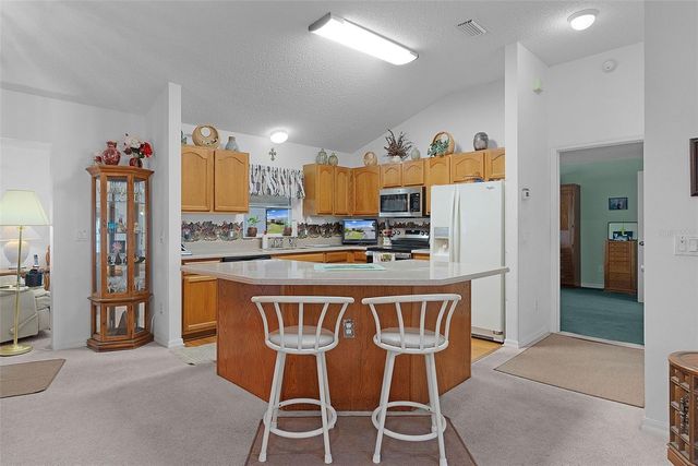 1115 SALIDO AVENUE, The Villages, FL 32159