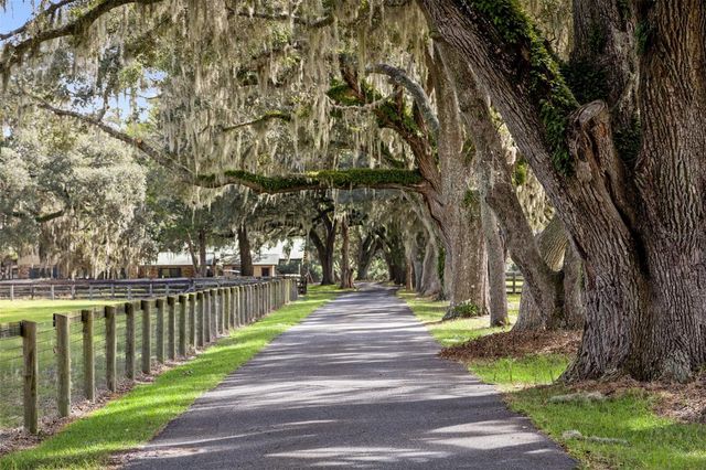 551 NE 200 AVENUE, Williston, FL 32696