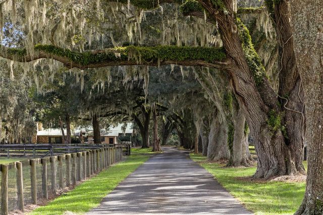 551 NE 200 AVENUE, Williston, FL 32696