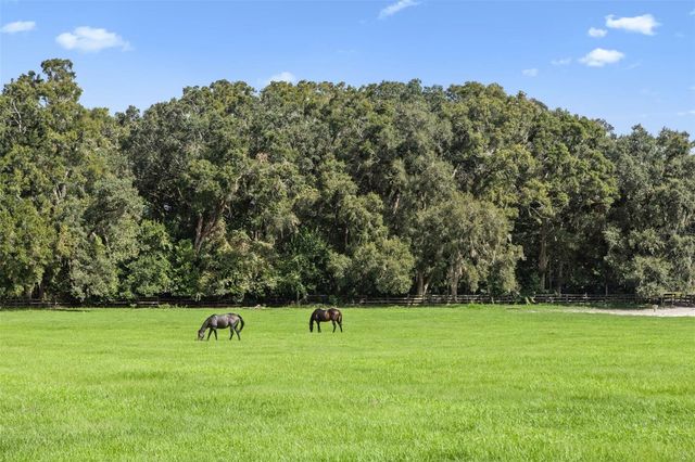 551 NE 200 AVENUE, Williston, FL 32696