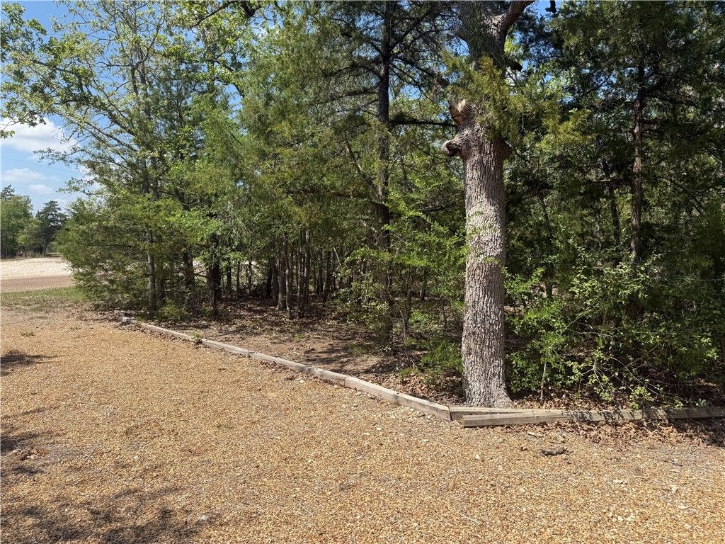 201 Shoreline Drive, Somerville, TX 77879 — photo 3