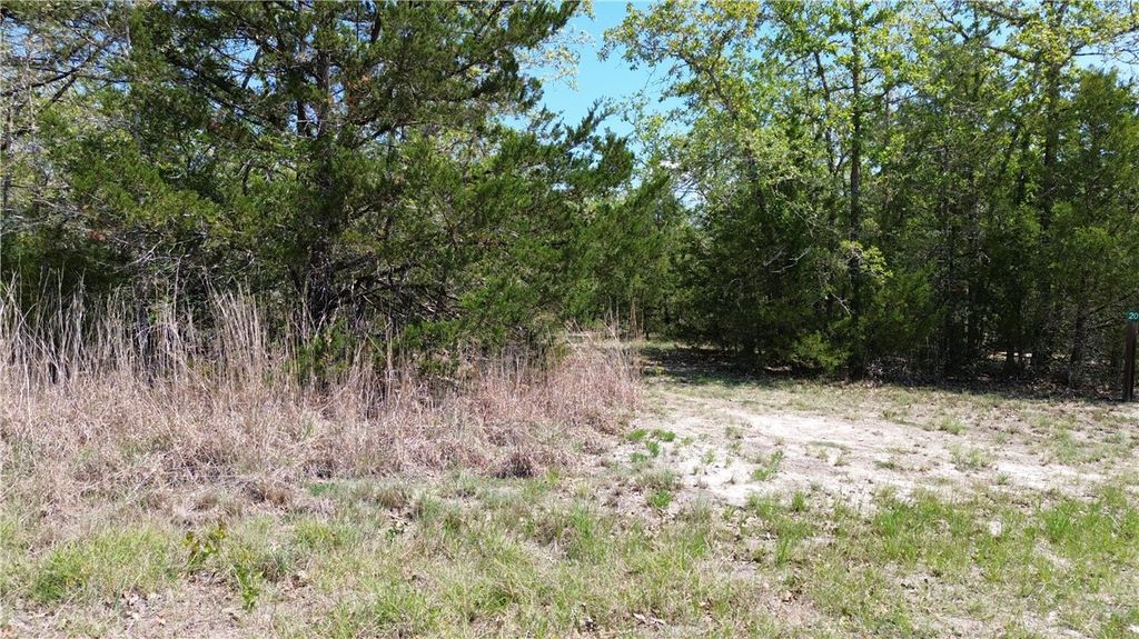 201 Shoreline Drive, Somerville, TX 77879 — photo 5