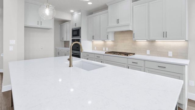 3511 Blue Mistflower Drive, Katy, TX 77493