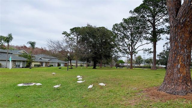 0 WHITE PINE AVENUE, Orlando, FL 32811