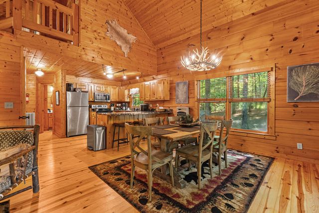 63 Bushy Head Road, Cherry Log, GA 30522