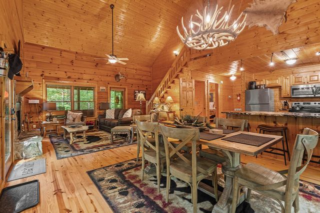 63 Bushy Head Road, Cherry Log, GA 30522