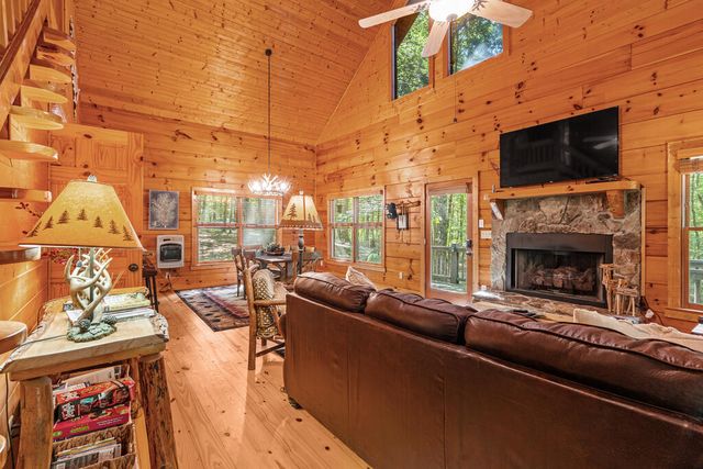 63 Bushy Head Road, Cherry Log, GA 30522