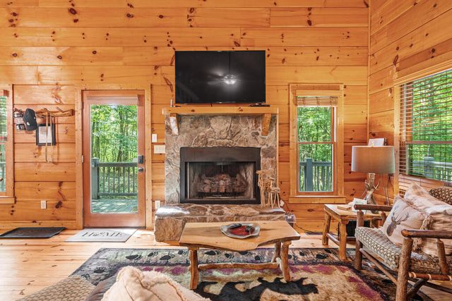63 Bushy Head Road, Cherry Log, GA 30522