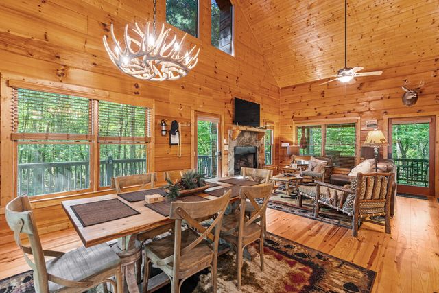 63 Bushy Head Road, Cherry Log, GA 30522
