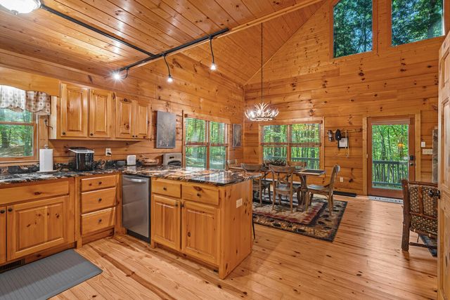 63 Bushy Head Road, Cherry Log, GA 30522