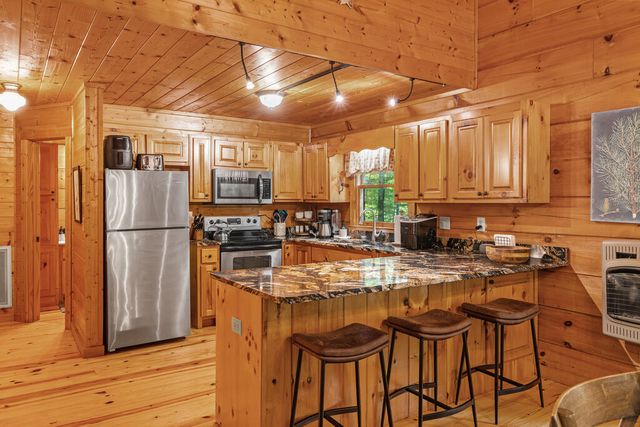 63 Bushy Head Road, Cherry Log, GA 30522