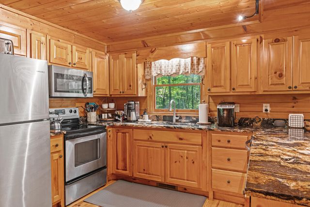 63 Bushy Head Road, Cherry Log, GA 30522