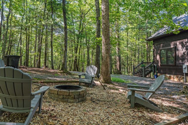 63 Bushy Head Road, Cherry Log, GA 30522