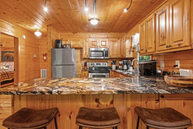63 Bushy Head Road, Cherry Log, GA 30522